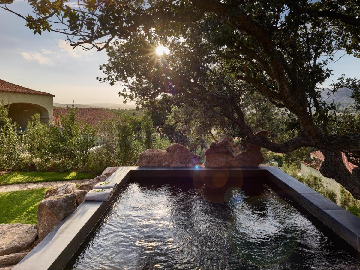 Suite de Luxe avec Piscine Privée