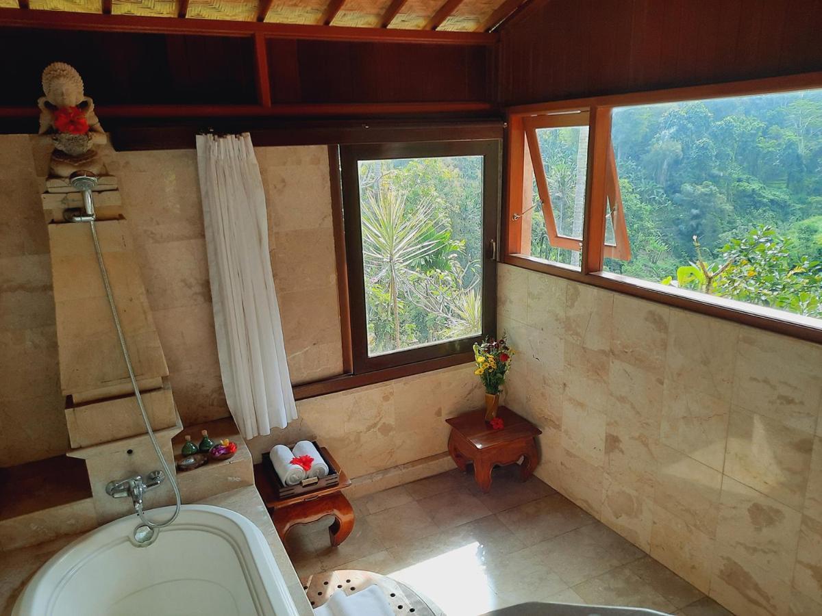 Suite Deluxe