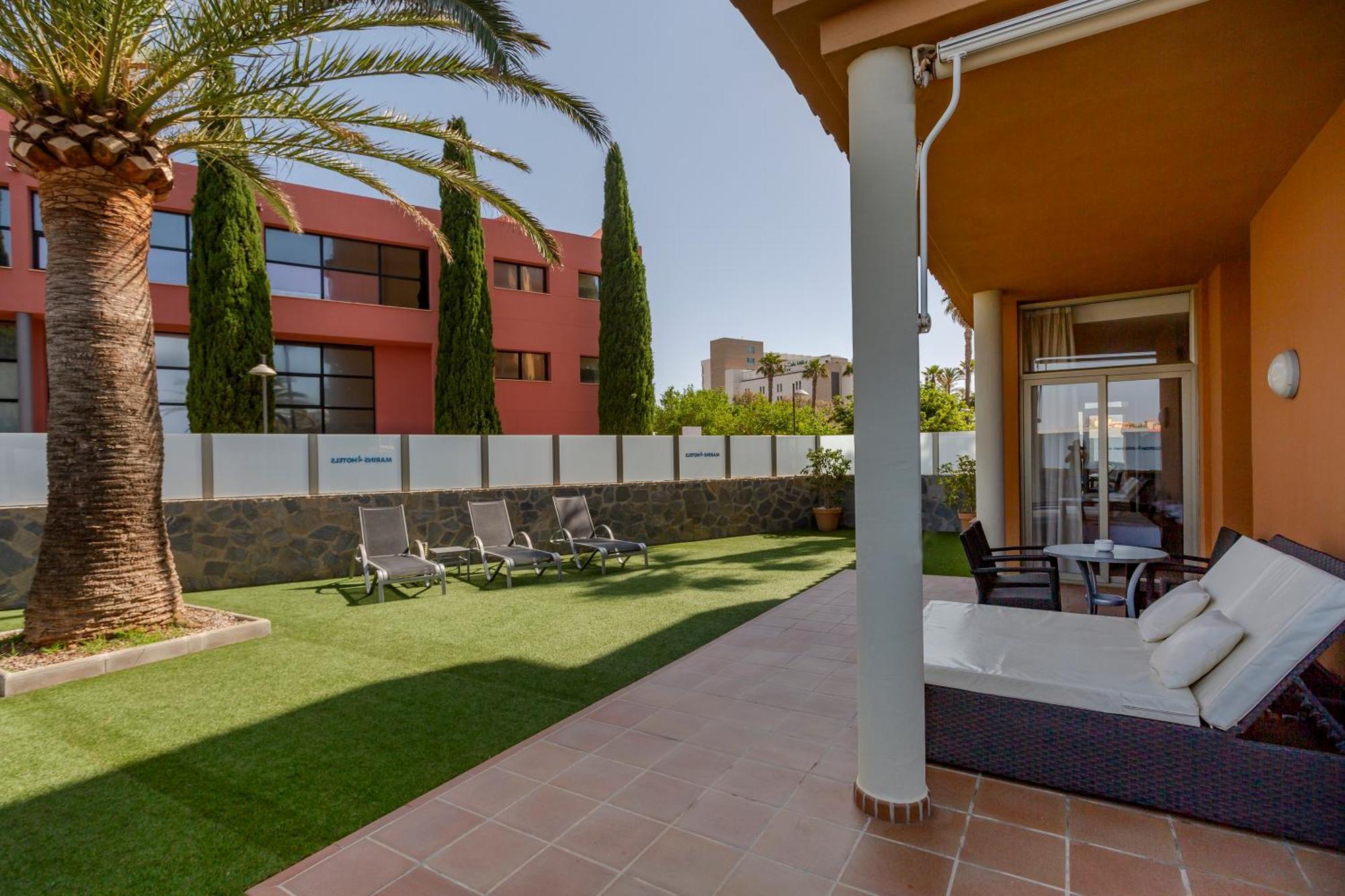 Suite Terrace