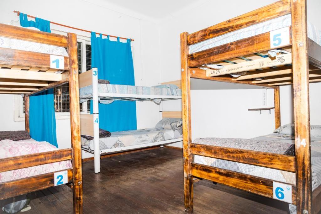 Cama en habitación compartida mixta de 6 camas
