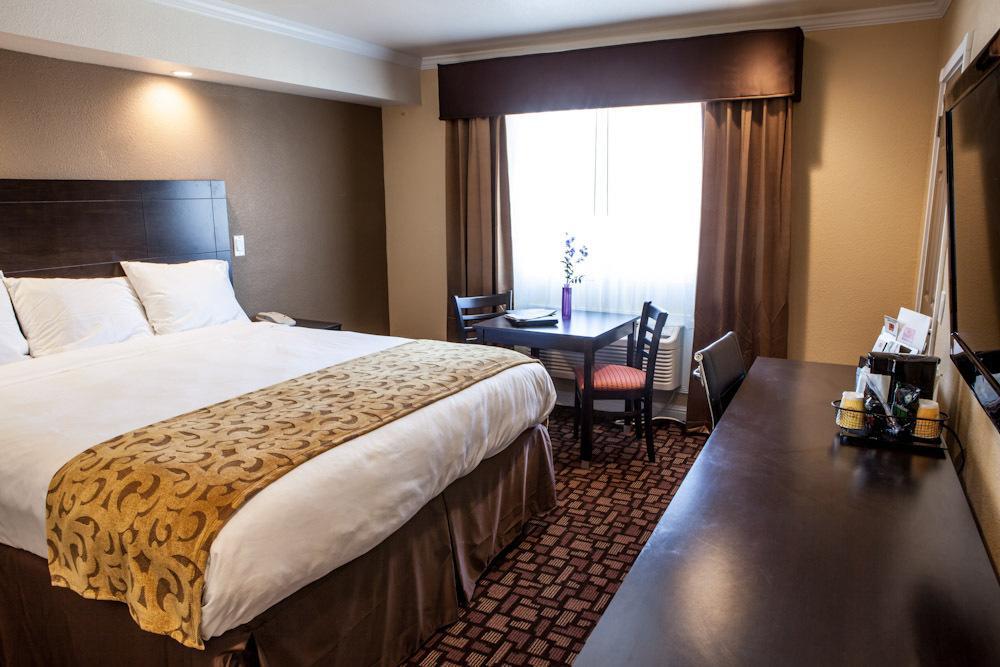 Standard King Room,1641030667:JPEG