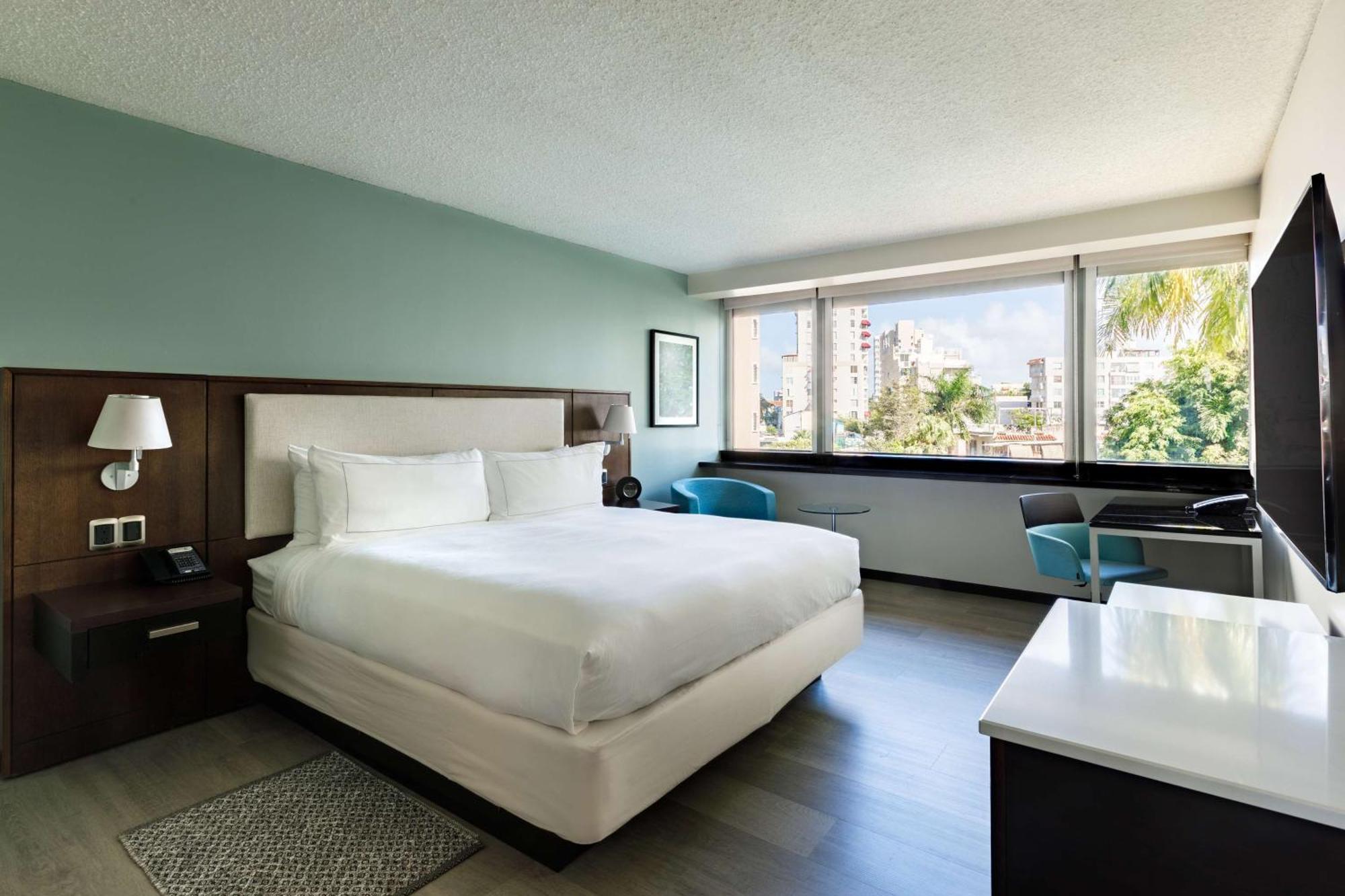 King Room Garden View