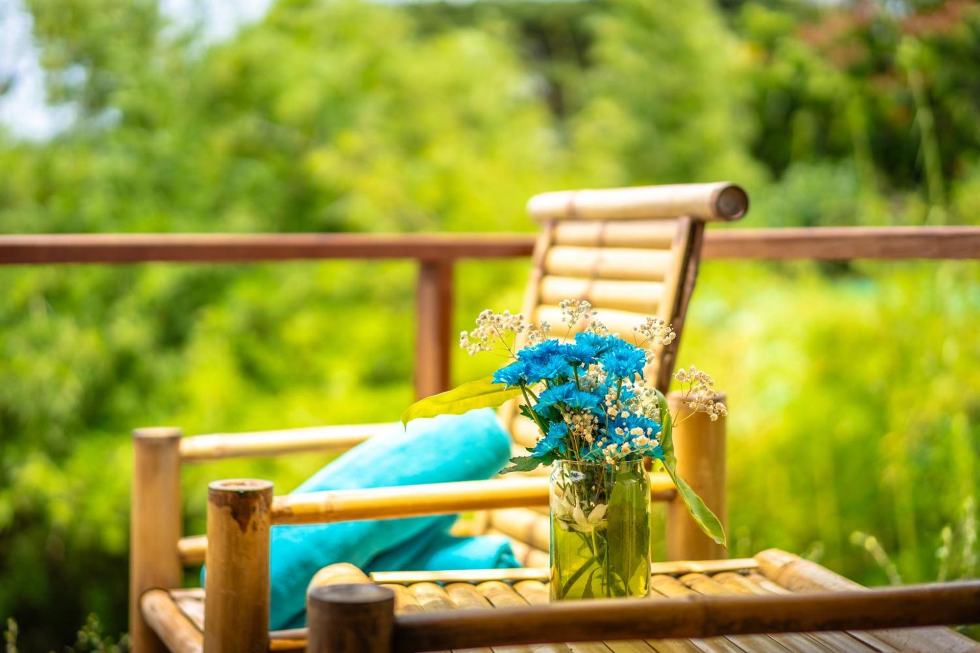 Hébergement avec Terrasse sur le Toit