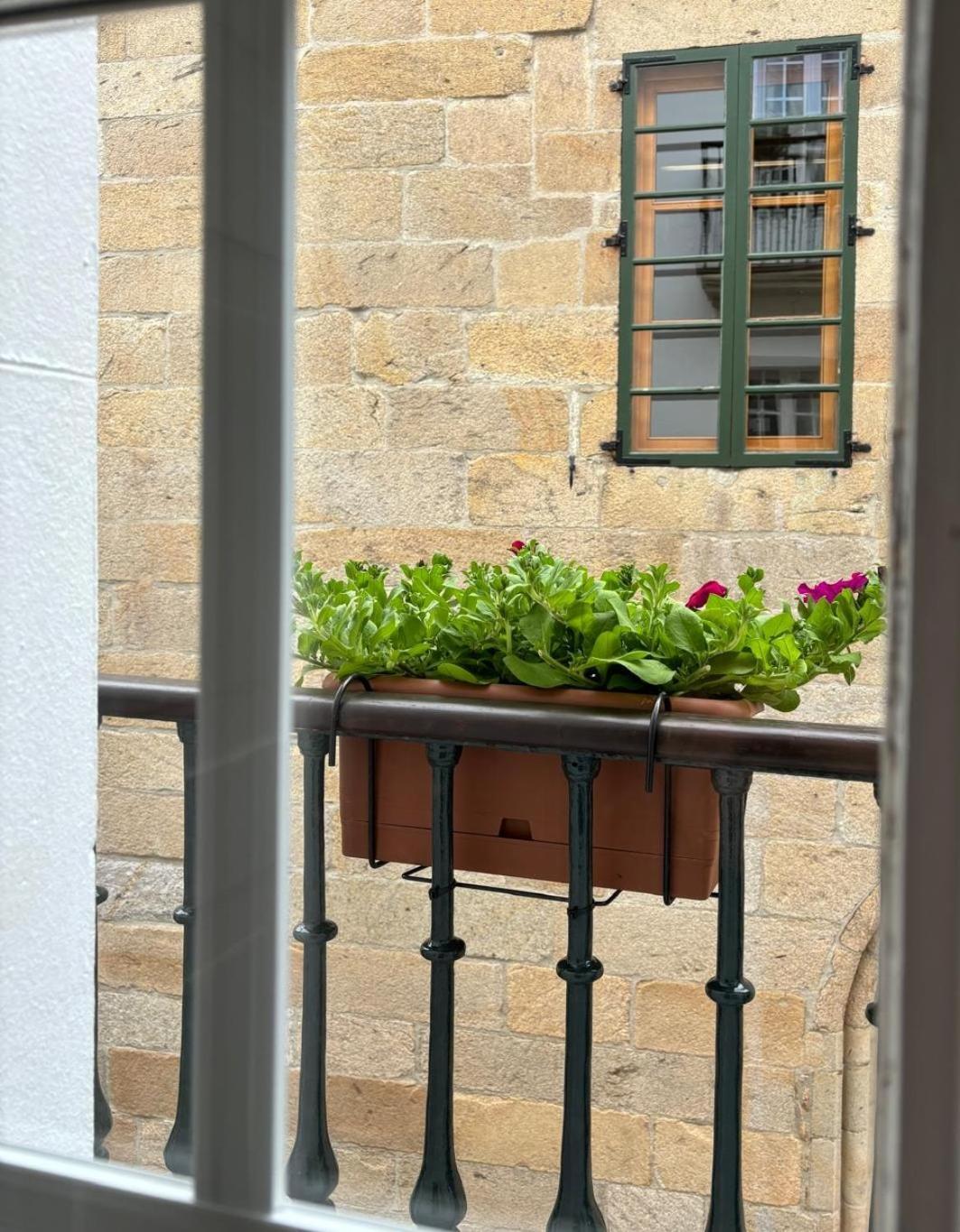 Double Standard Room Views