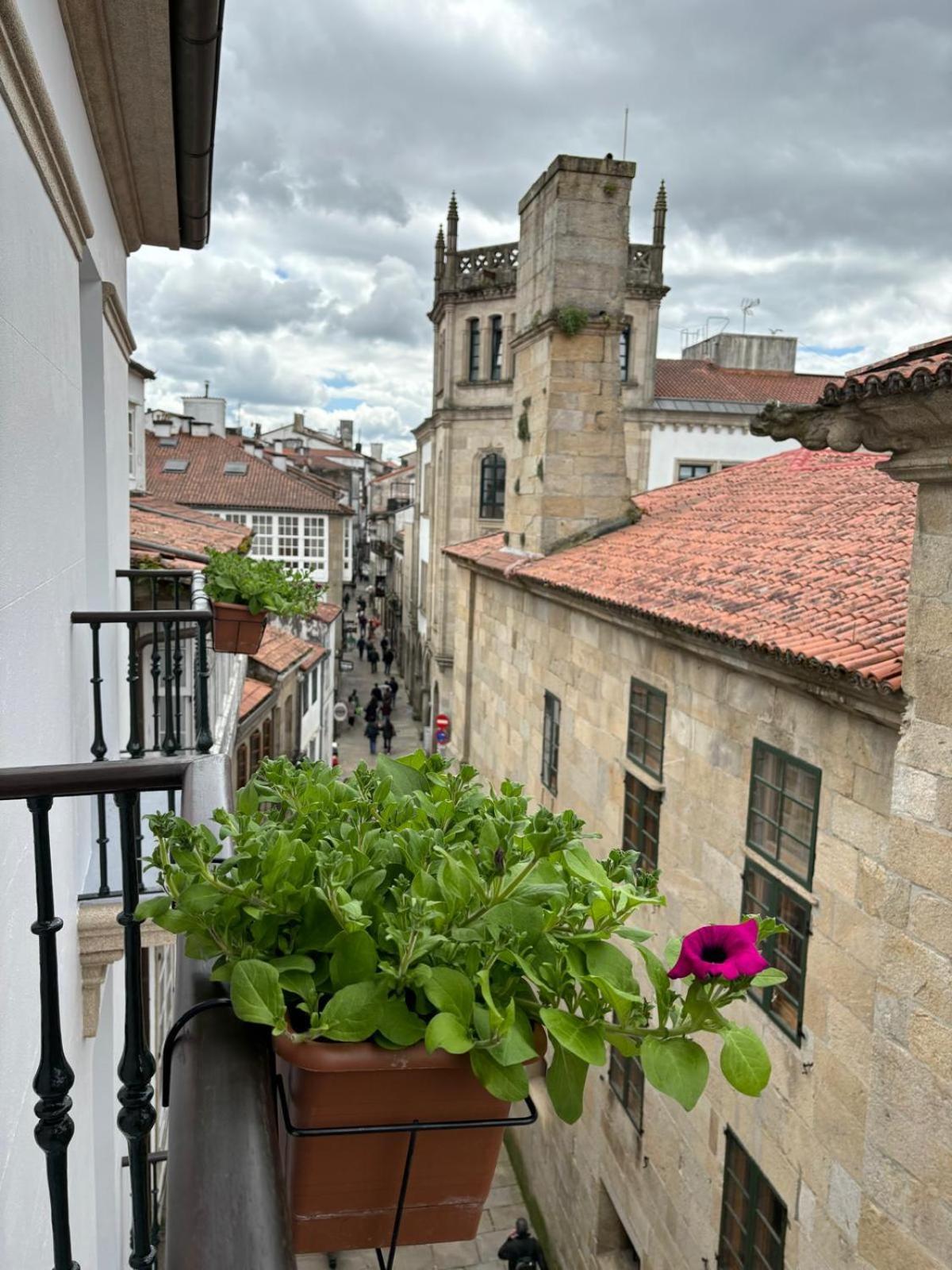 Double Standard Room Views