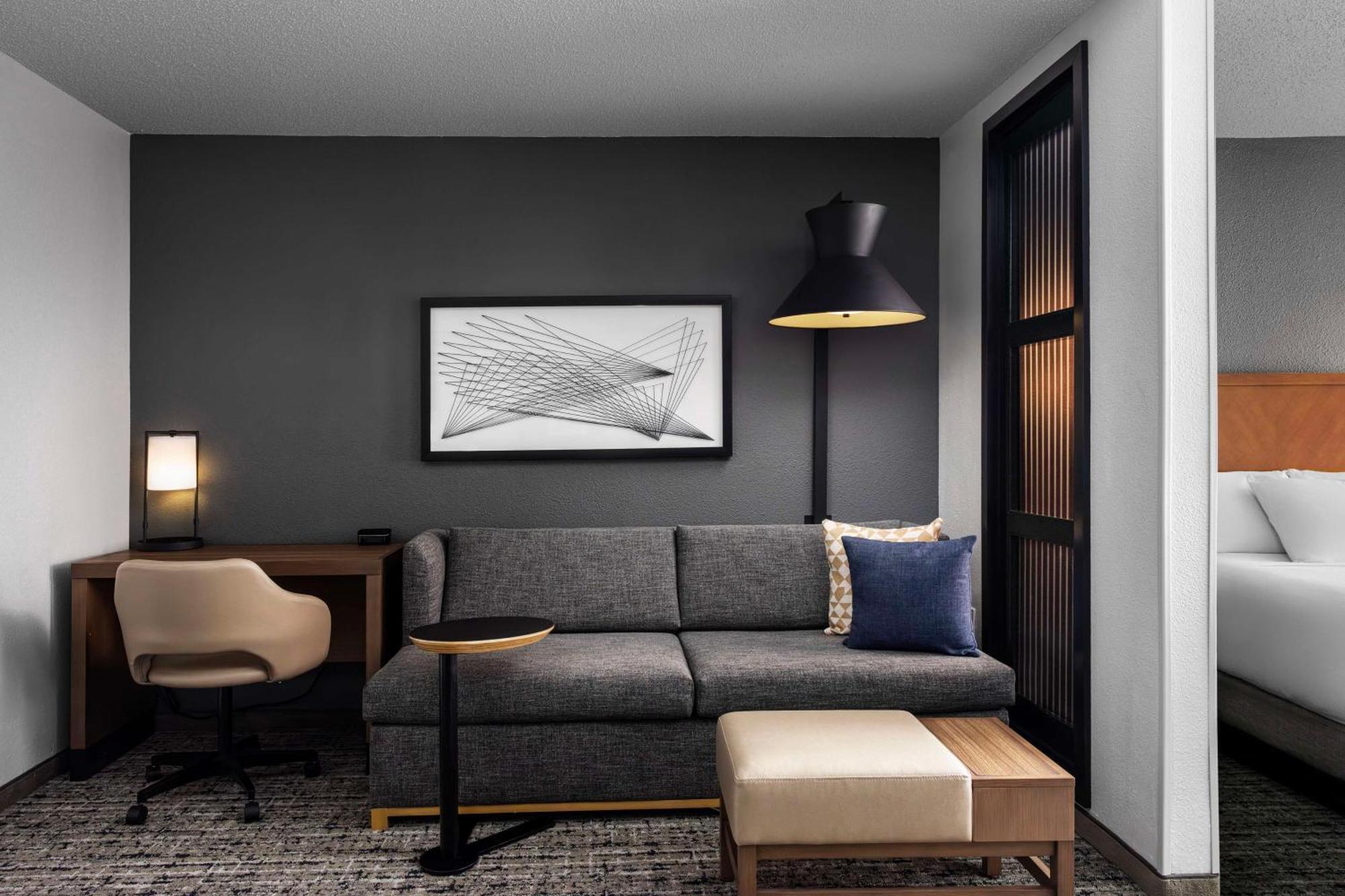King Room Sofa Bed Accessible Tub Disability Access