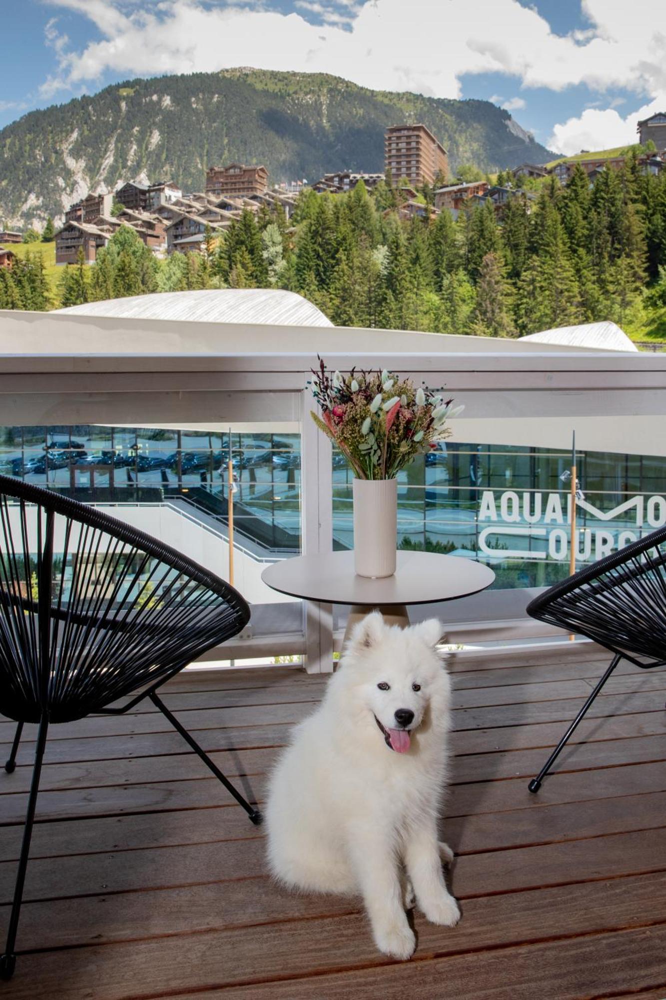 Cocoon Room High Tea dec-april Aquapark access