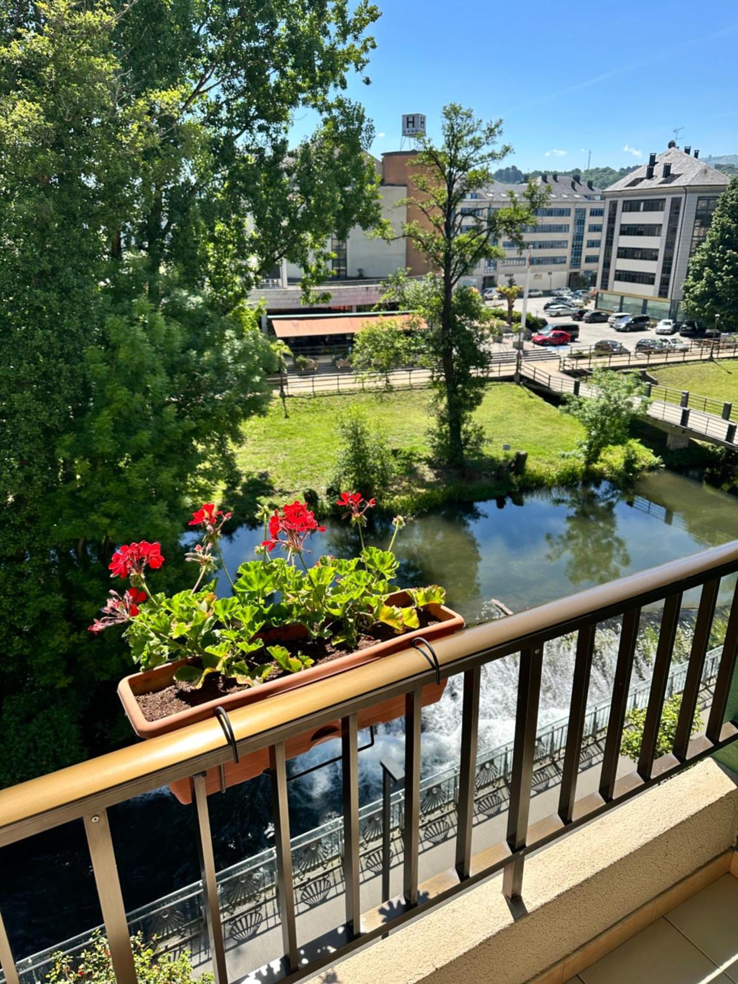 Superior Twin Room Garden View