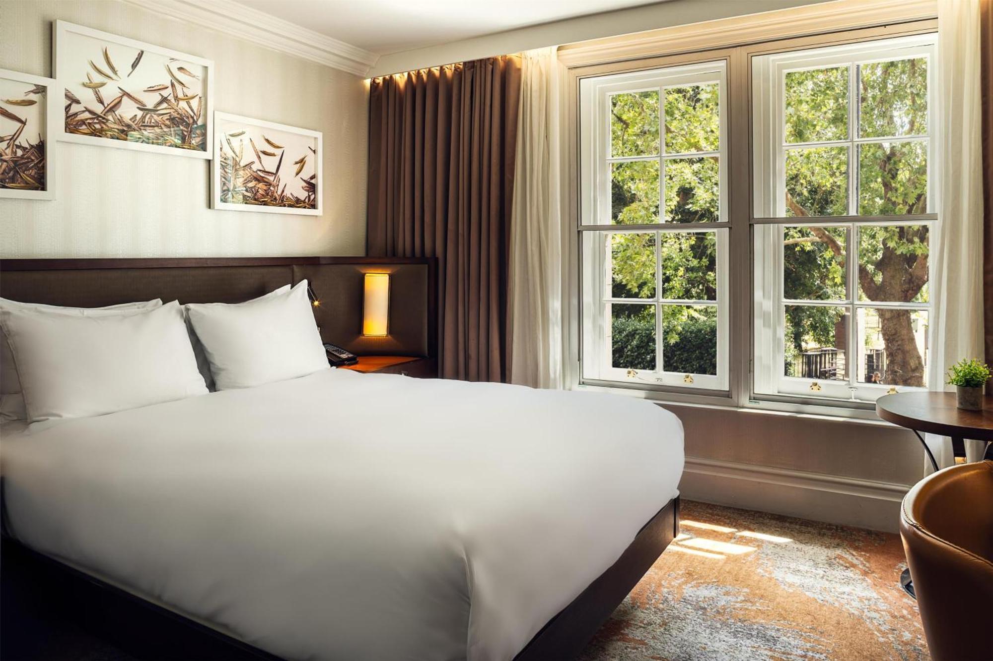 Queen Room View