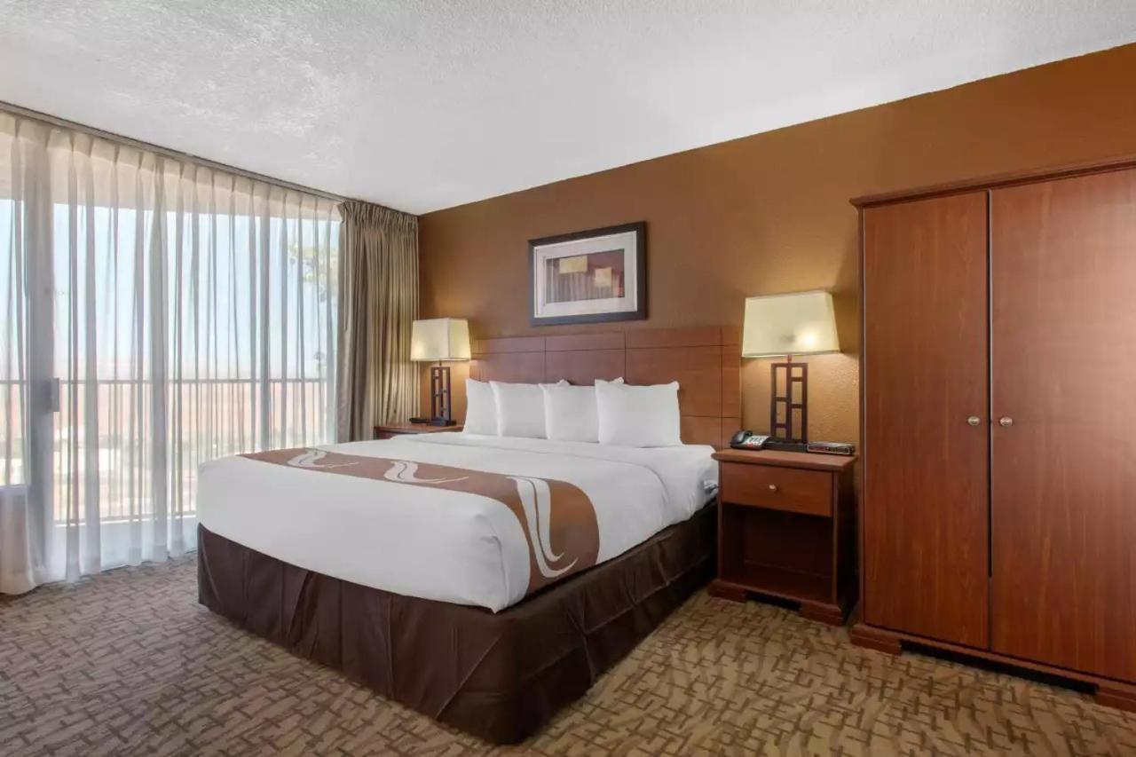 Superior King Room,1758372457:JPEG