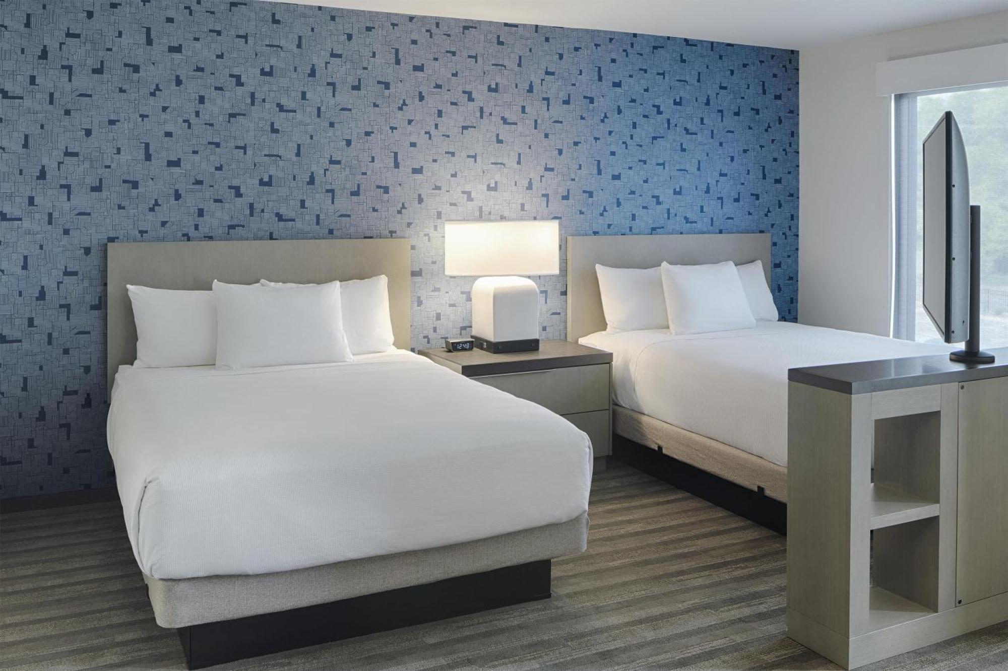 Studio Suite Two Queen Beds Sofa Bed Kitchen