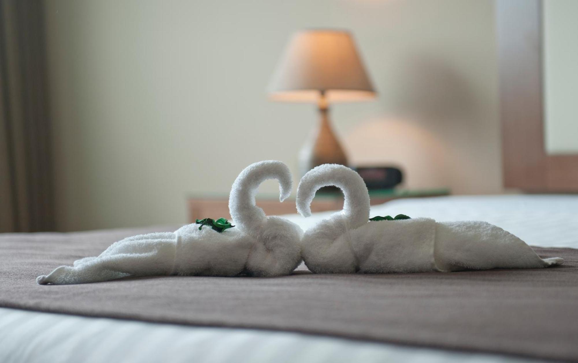 Estudio con cama extragrande y sofá cama