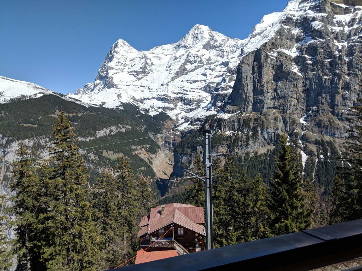 Single Room Balcony Mountain View