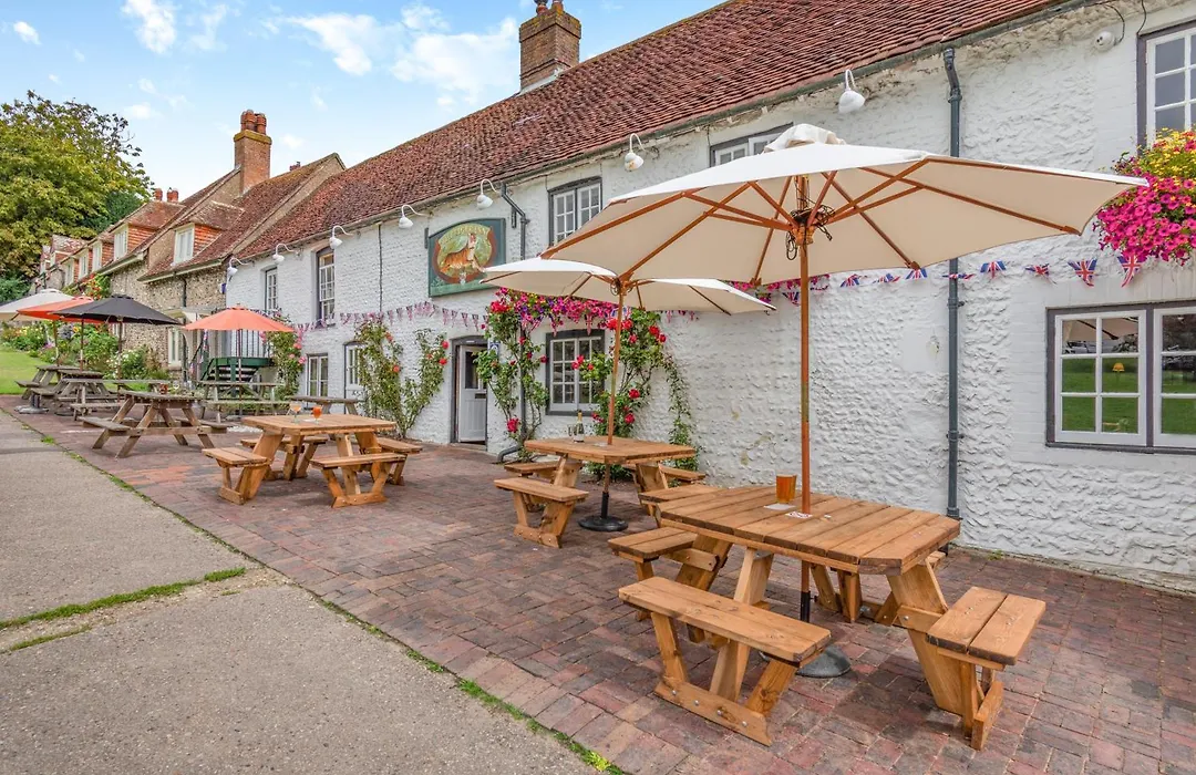 Tiger Inn - Grace-1