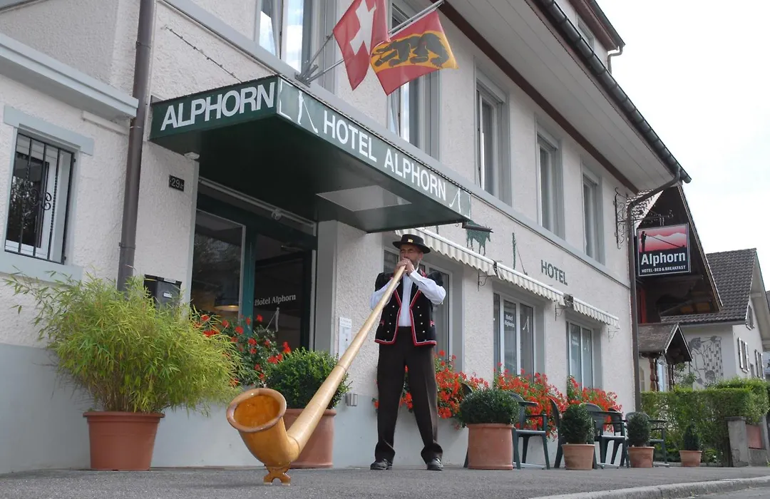 Hotel Alphorn-1