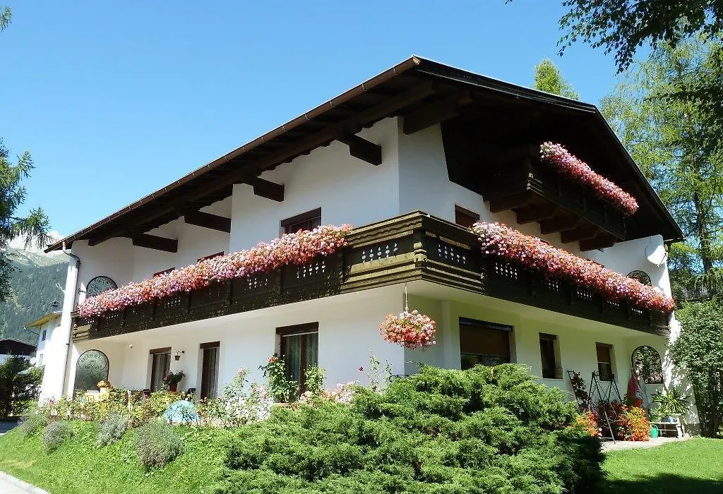 Pension Holzmann-1