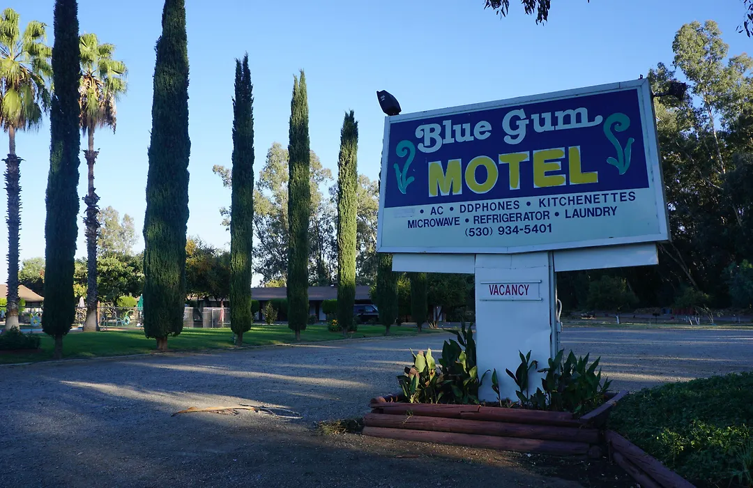 Blue Gum Motel-1