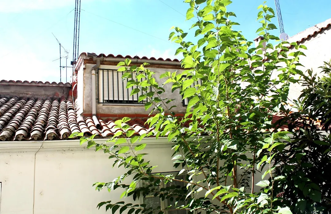 Alevia-1