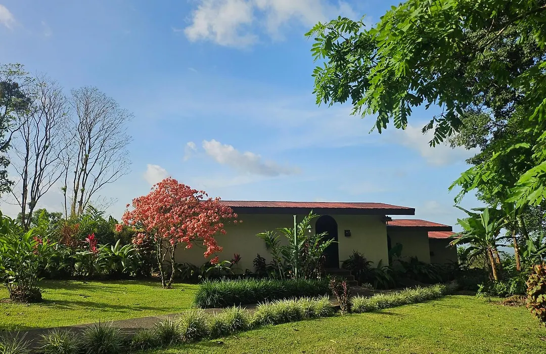 Yellow Tree Suites-1