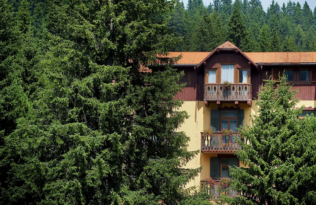 TH Madonna di Campiglio | Golf Hotel-1