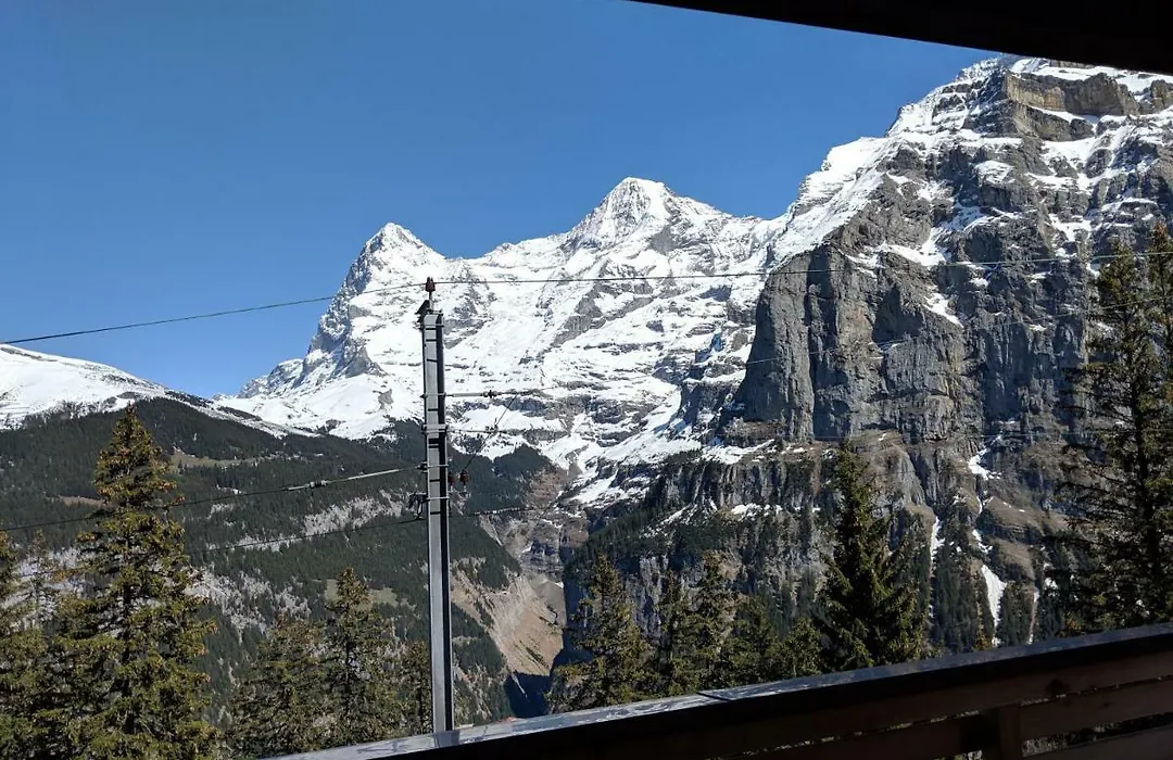 Hotel Alpenblick Mürren-1