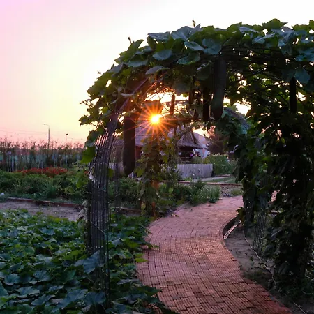 Silk Sense Hoi An River Resort - Green Luxury Escape-3