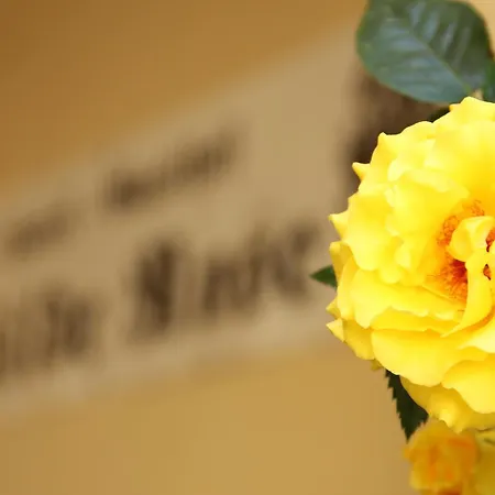 Hotel-Gasthof Wilde Rose-2