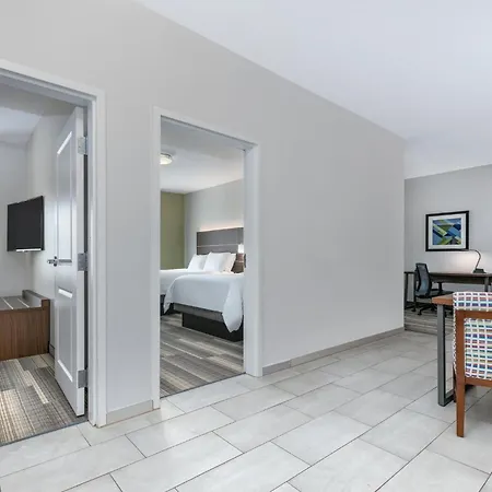 Holiday Inn Express Hotel & Suites Clute-Lake Jackson By Ihg-2