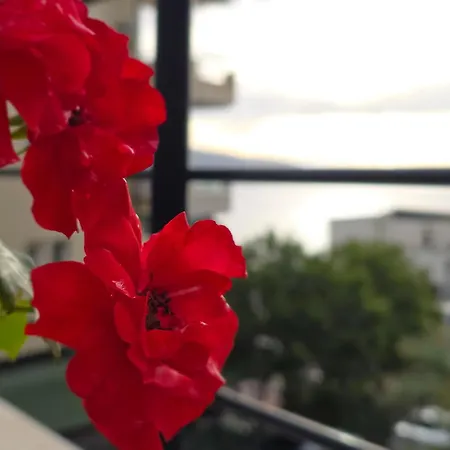 Valza Boutique Hotel-3