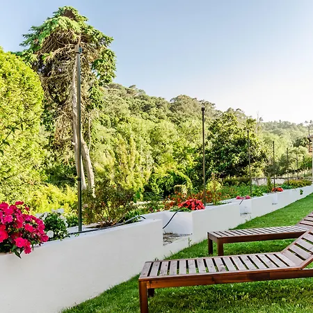 Sarrazola House-3