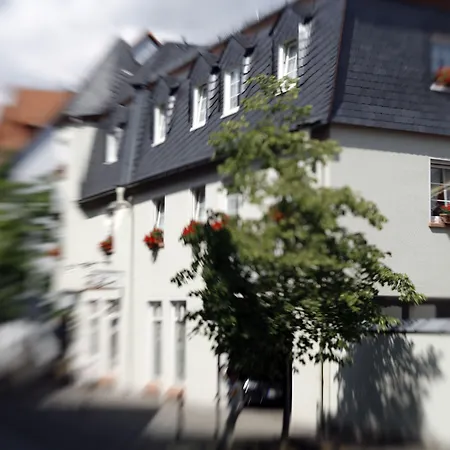 Hotel Hessischer Hof - Superior-3