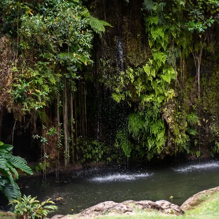 Apes Hill Barbados Golf And Resort Community-2