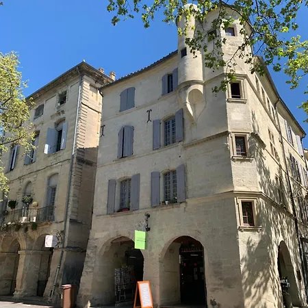 In Situ B&B-2
