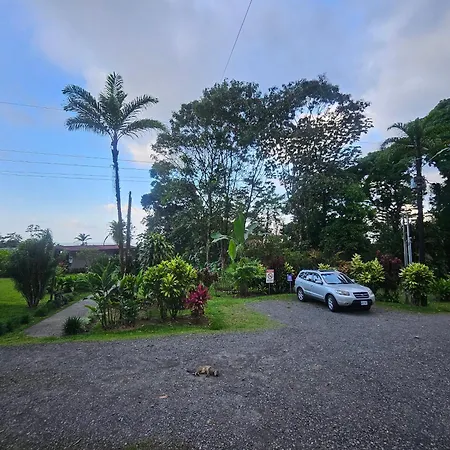 Yellow Tree Suites-3