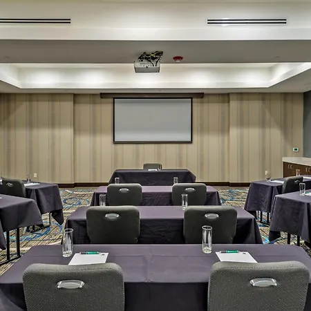Holiday Inn Austin Airport By Ihg-3