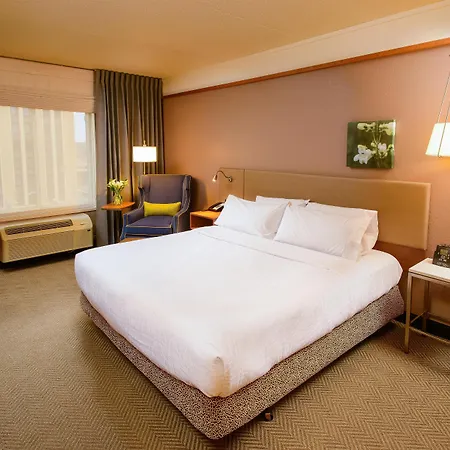 Hilton Garden Inn Rochester Downtown-2