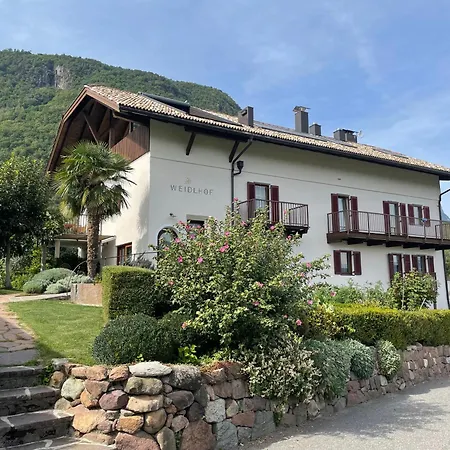 Weingut Weidlhof - Suite & Breakfast - Vacation For Wine Lovers-2