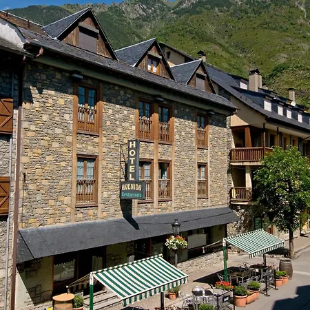 Hotel Avenida Benasque-3