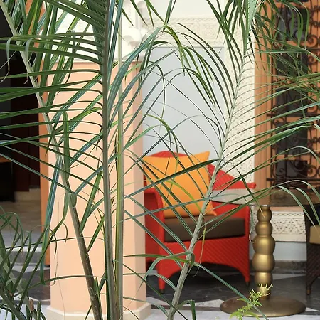 Riad Siwan-3