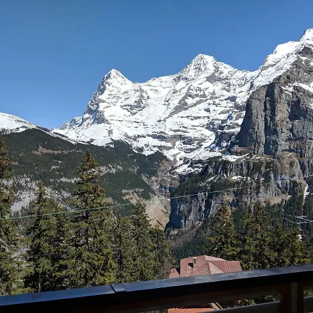 Hotel Alpenblick Mürren-2