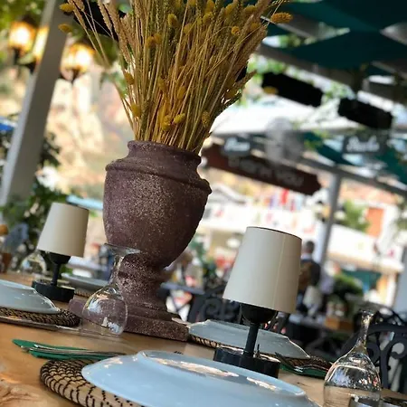 Mimoza Hotel-2