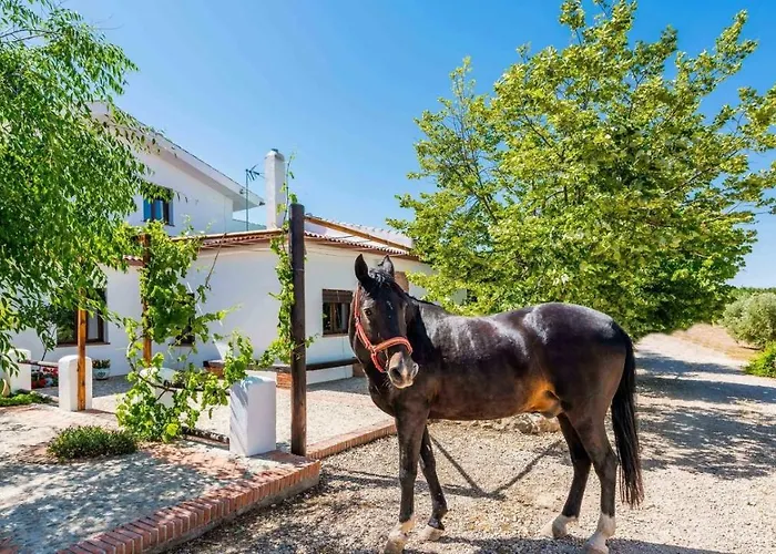 Cortijo Rica Santa Cruz Del Comercio By Ruralidays