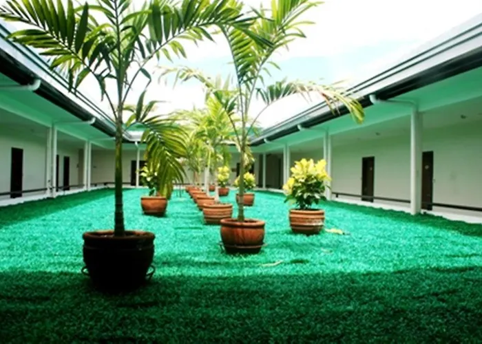 Cindy Kelly Hotel