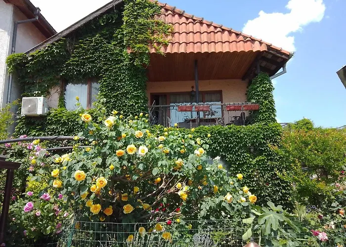 Guest House Amazonka