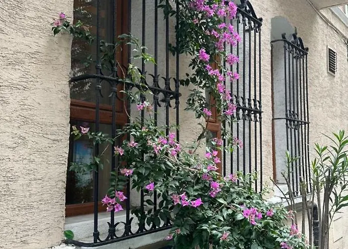 Hotel Orkide Estambul