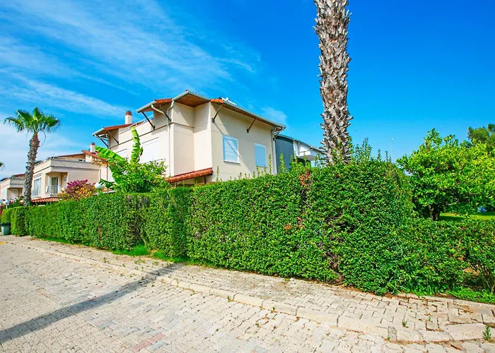 Paradise Town Villa Orchard