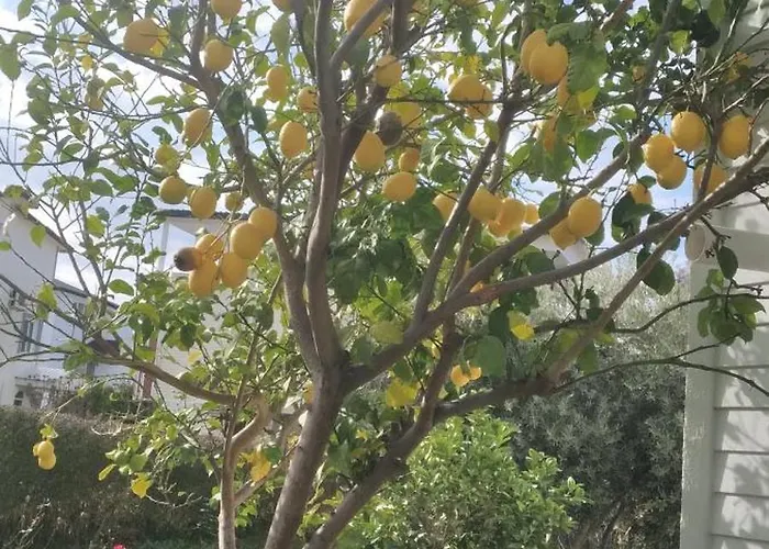 Villalemoon