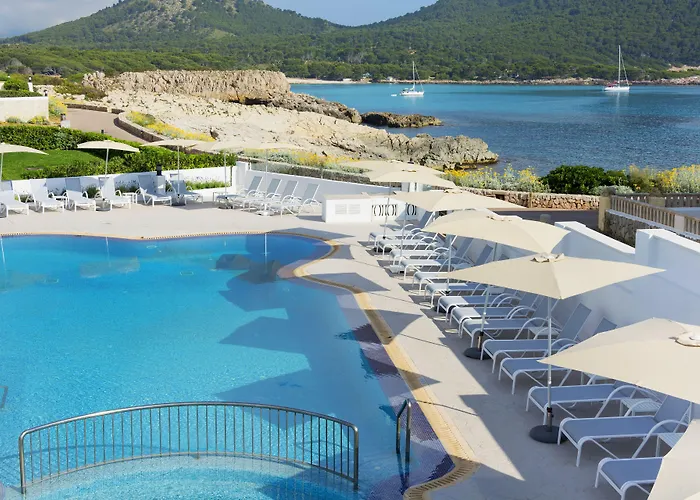 Hsm Regana - Adults Only