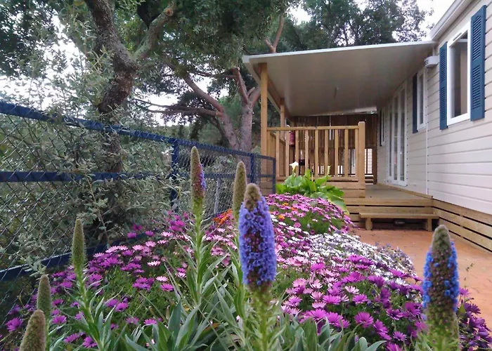 Holiday Home In Calella De La Costa 3641