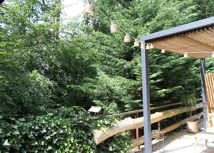 Forrest Suites
